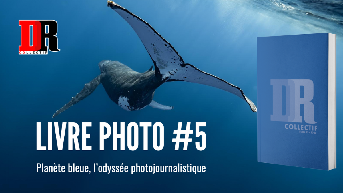 Le Collectif DR sort un livre photo sur les fonds marins
