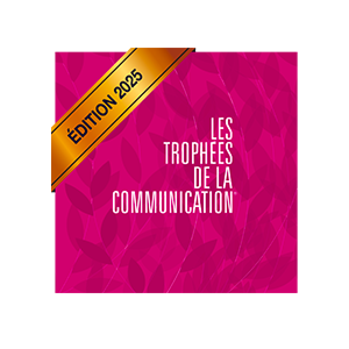 L’Occitanie multi récompensée aux Trophées de la Communication 2025