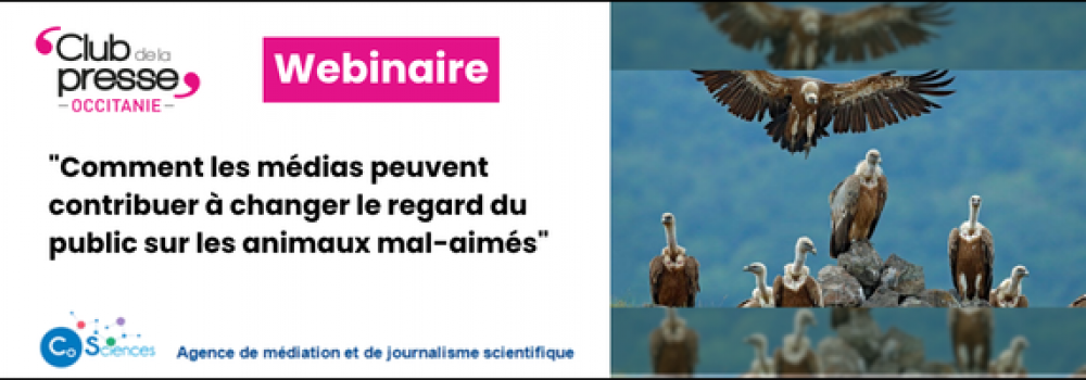 Webinaire 